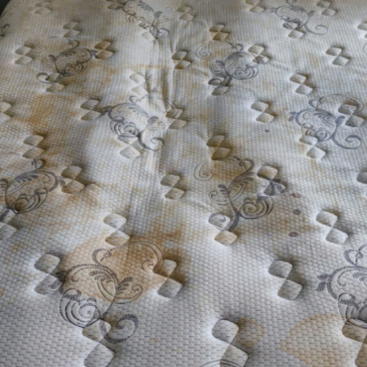 Matras-reinigen-matras-schoonmaken-matras-laten-reinigen-bed-reinigen-matrassen-reinigen-matrassen-schoonmaken-After-5